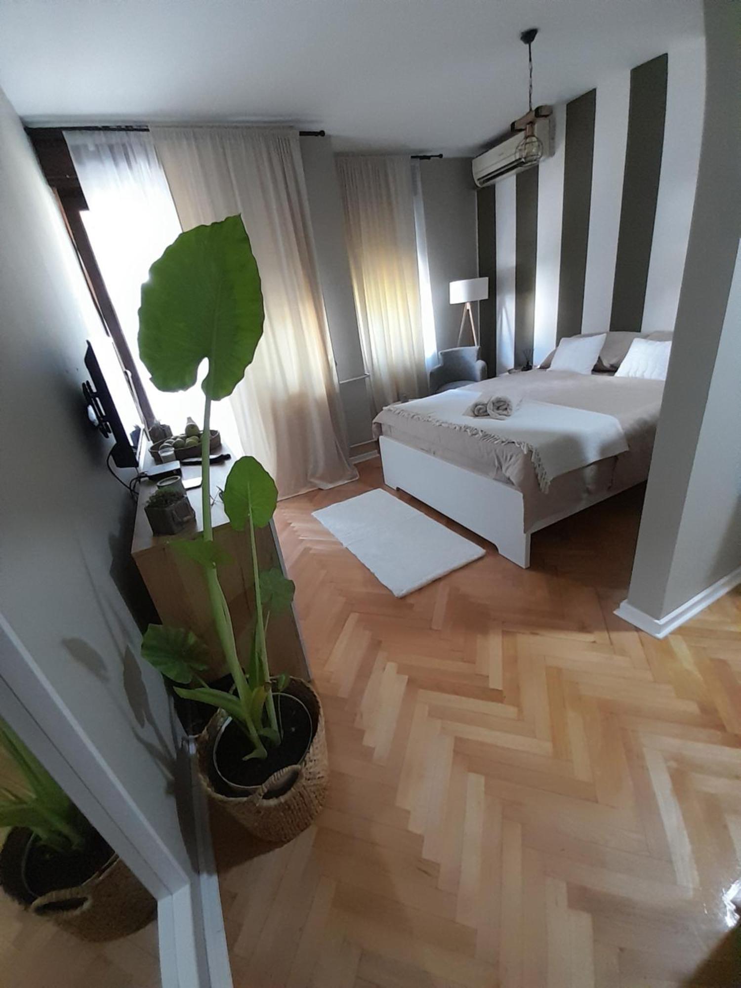 Apartment Harmony Zarkovo